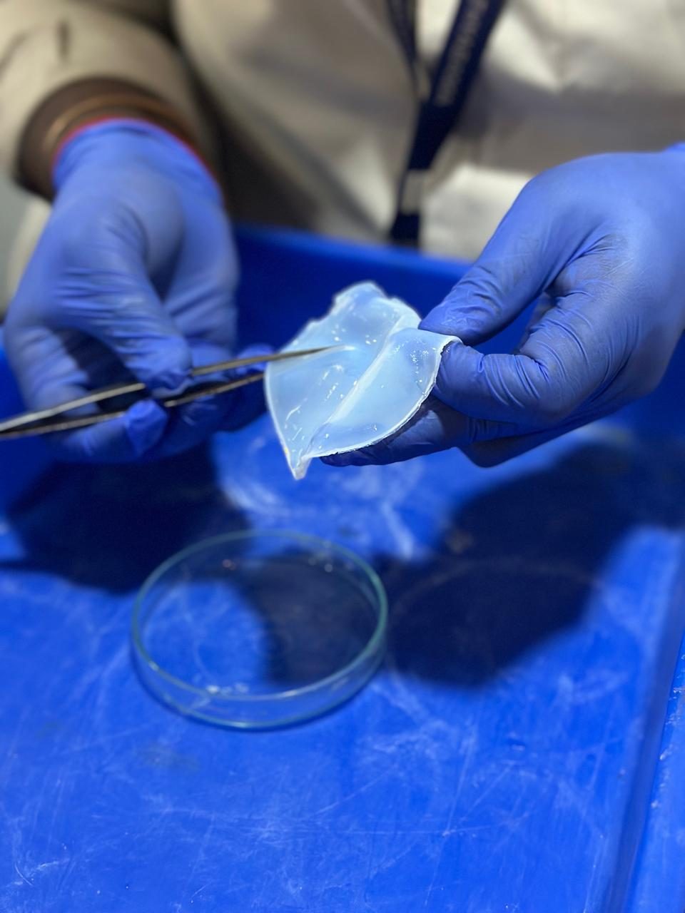 Handling a free-standing composite film